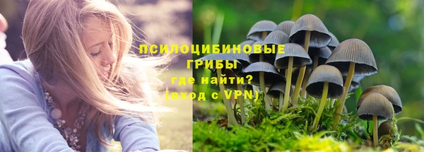 эйфоретик Абаза